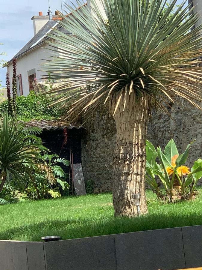 Adorable Guest House Au Calme A 3 Min Du Port فان المظهر الخارجي الصورة